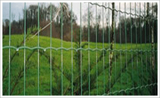 绿化带围栏网